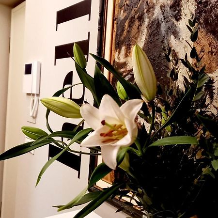Sky Loft Nuovissimo Vicinanze Metro Διαμέρισμα Τορίνο Εξωτερικό φωτογραφία